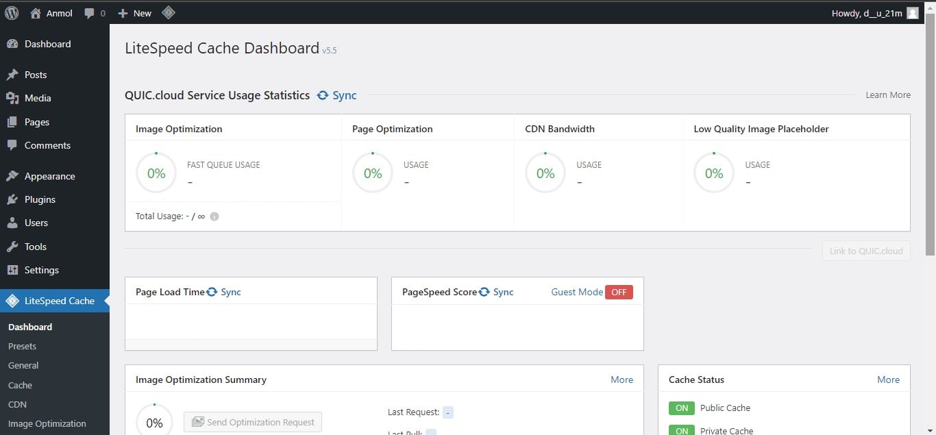 LiteSpeed Cache Dashboard