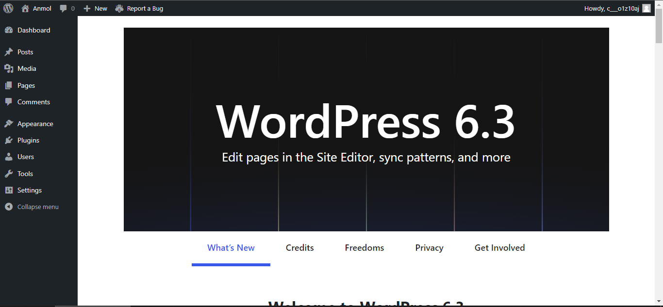 wordpress 6.3