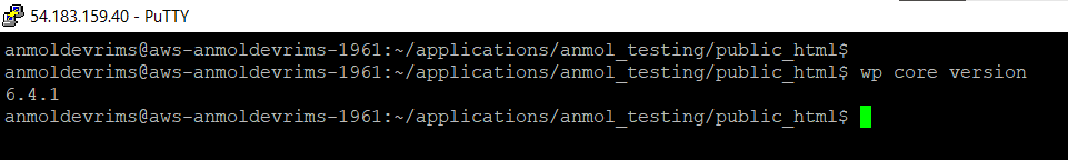 WP-CLI - PuTTY - Core Settings