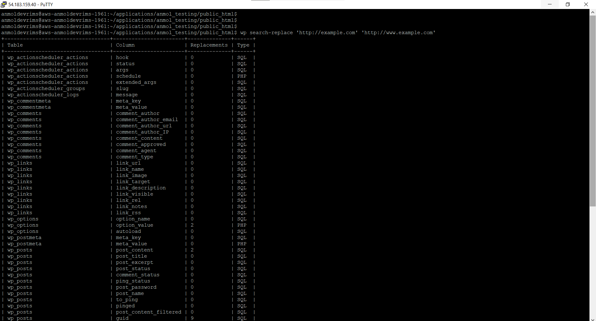 WP-CLI - PuTTY - Search and Replace