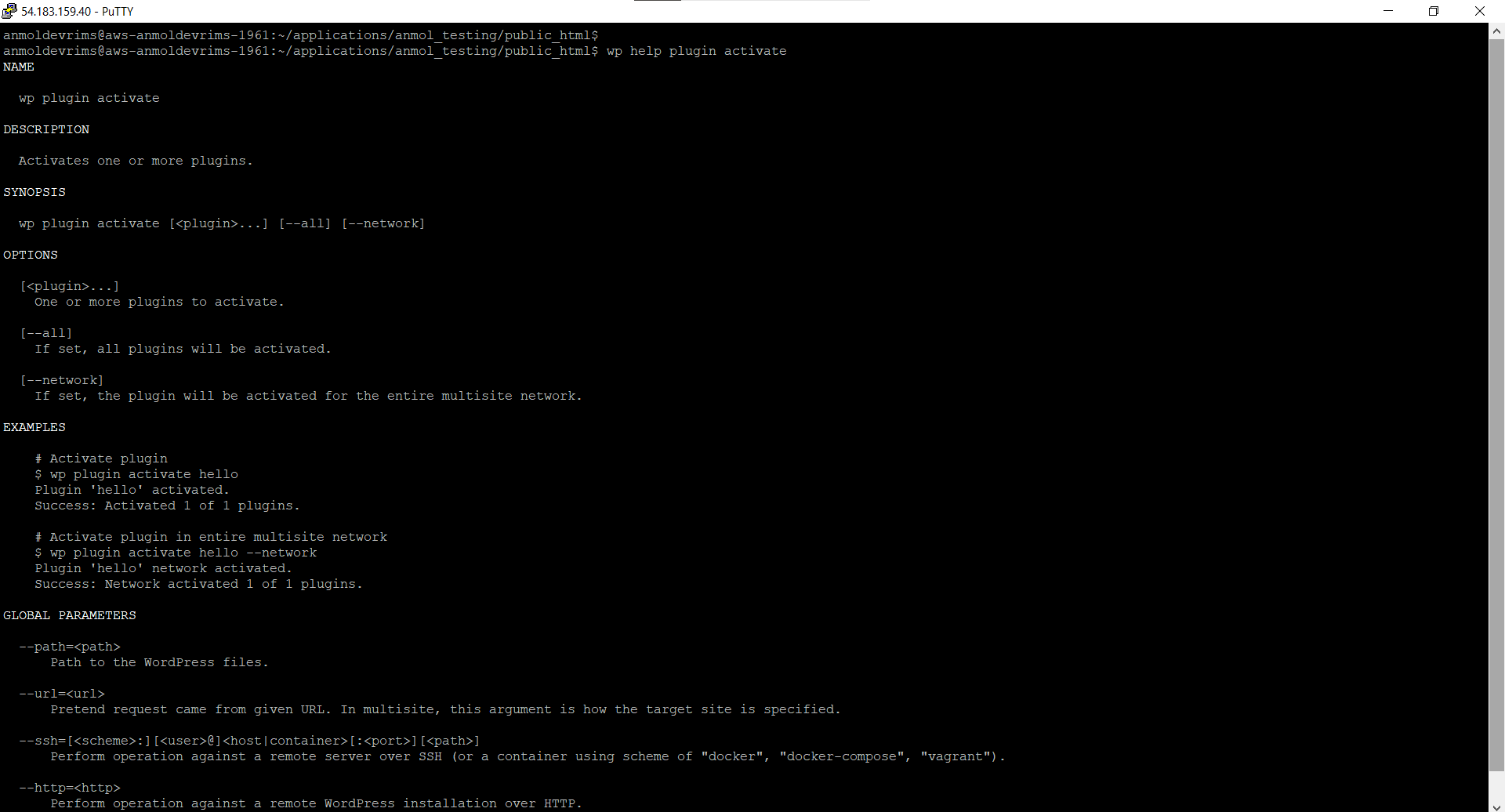 WP-CLI - PuTTY - Plugin Activate