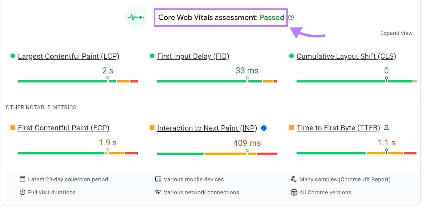 Page Speed Insights Report